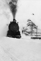 Snow train 24x36