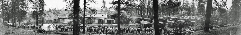 logging_camp-2 48X7