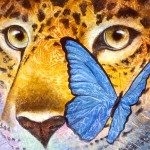 jaguar-and-blue-morpho