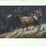 primeval-dawn-rocky-mountain-elk-foundation-sold-out