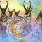 pronghorn-antelope-and-the-circle-of-life