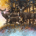forests-spirits-mule-deer