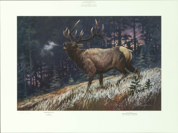 primeval-dawn-rocky-mountain-elk-foundation-sold-out