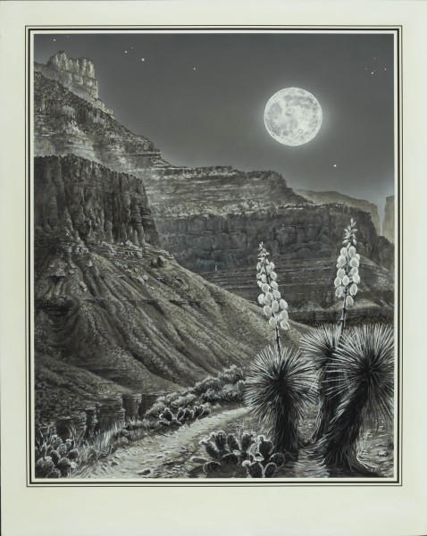 zzz_moonrise-over-the-tonto-trail-with-border