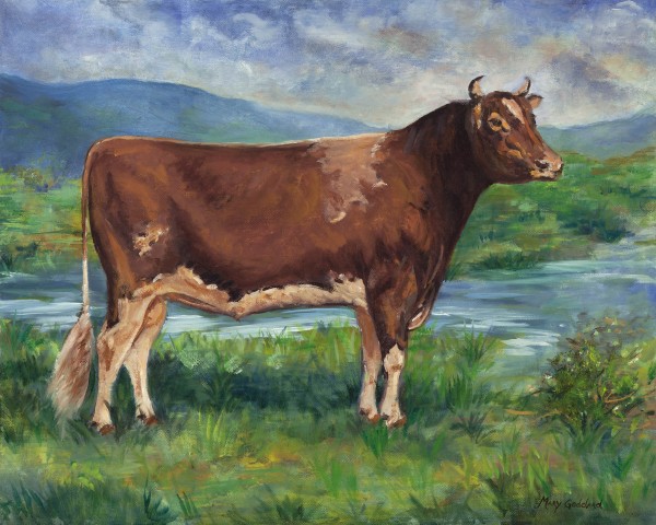 prize-bull