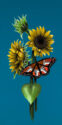 aqausit-polit-amum-sunflowers-with-butterfly