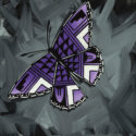 purple-pottery-butterfly