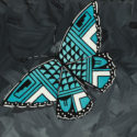 turquoise-pottery-butterfly
