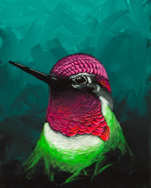 hummingbird-2