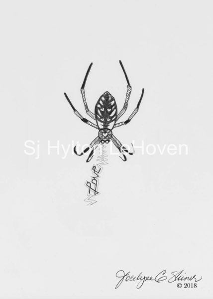 spider-love-2
