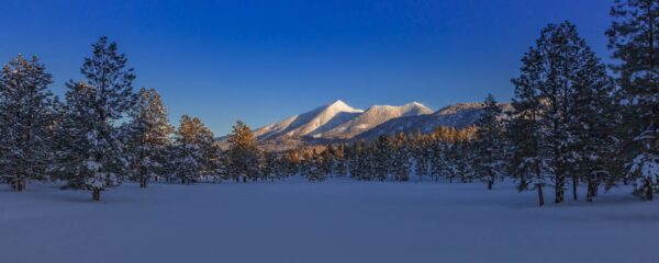 essence-of-flagstaff-16x40