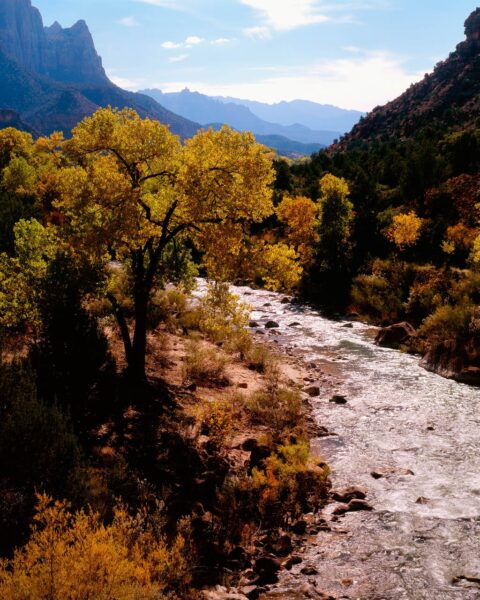 zion-valley-8x10-35