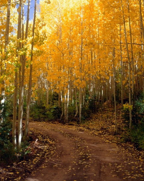 aspen-road-3-24x30