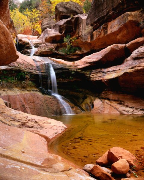 zion-falls-8x10