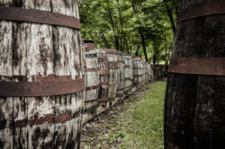 forgotten-casks